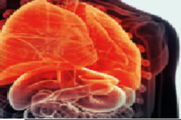 © ÖGP © ÖGP